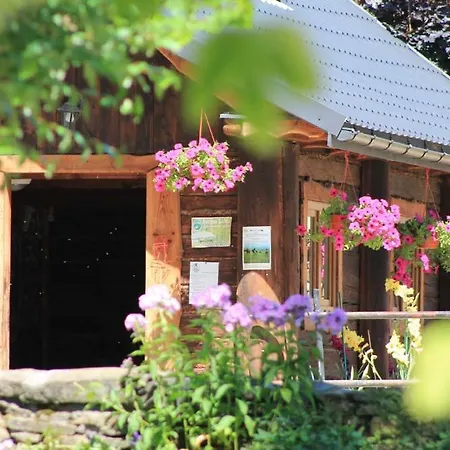 Farm stay Farma
